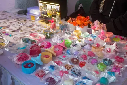 MSC STEM Fest 2025 — photo 1