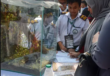 MSC STEM Fest 2025 — photo 3